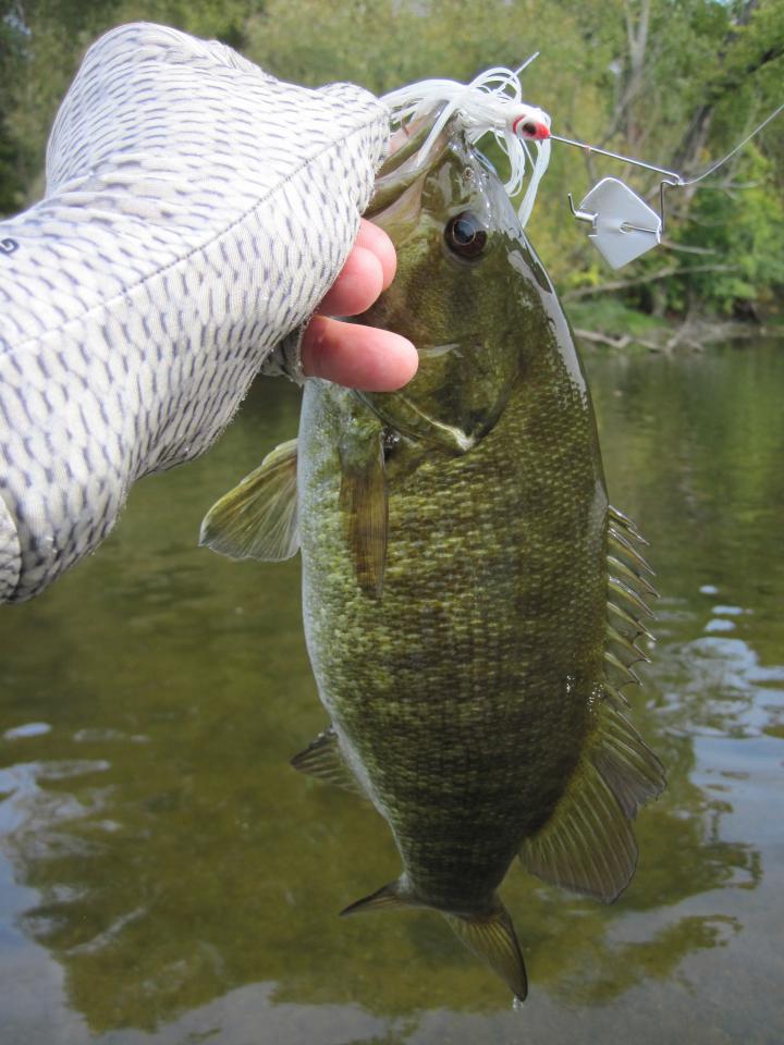 Small Buzzbaits for River Smallies, Wilderness Systems Kayaks