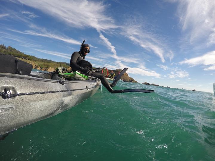 5 Things to Know Before Spear Fishing from a Kayak, Wilderness Systems  Kayaks